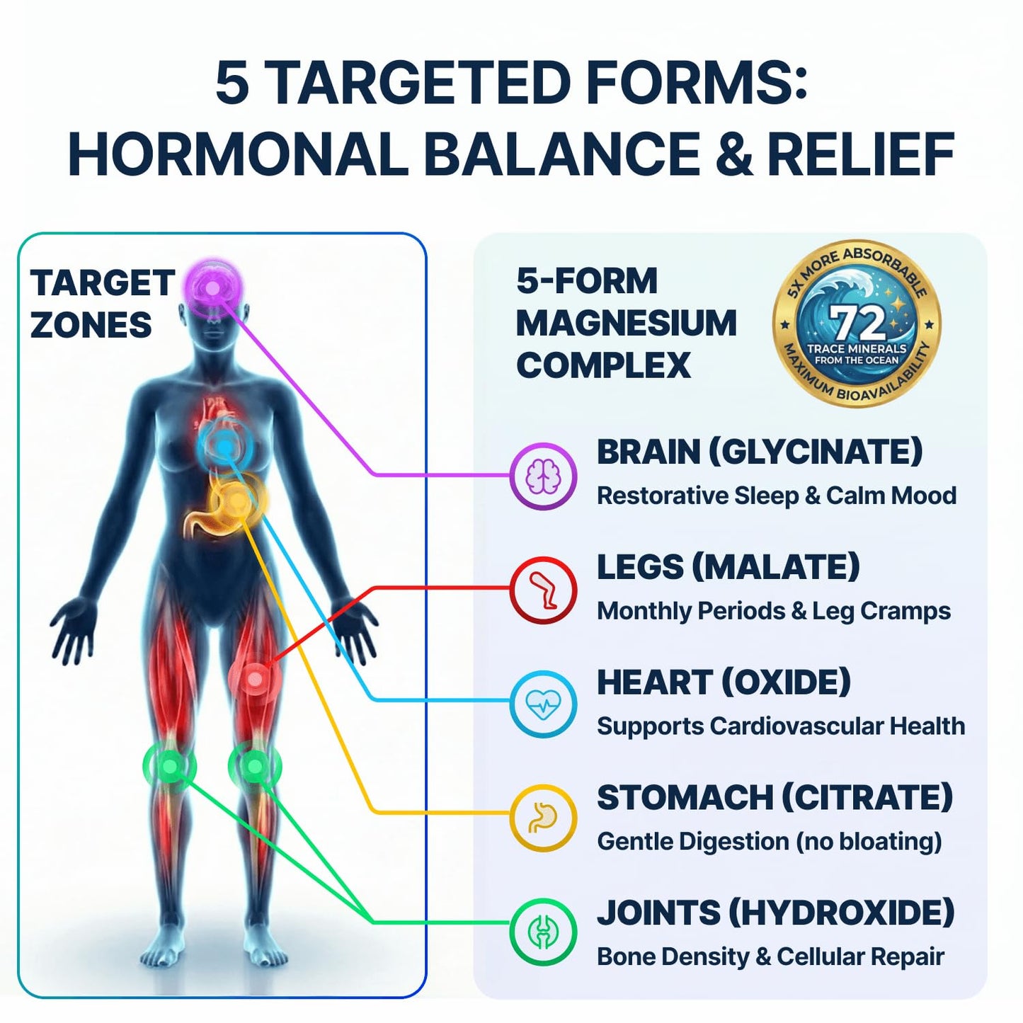 Spectrum 5 Magnesium | 5-in-1 Complex + 72 Trace Minerals for Enhanced Absorption | Irish Sea Sourced | 500mg per Serving