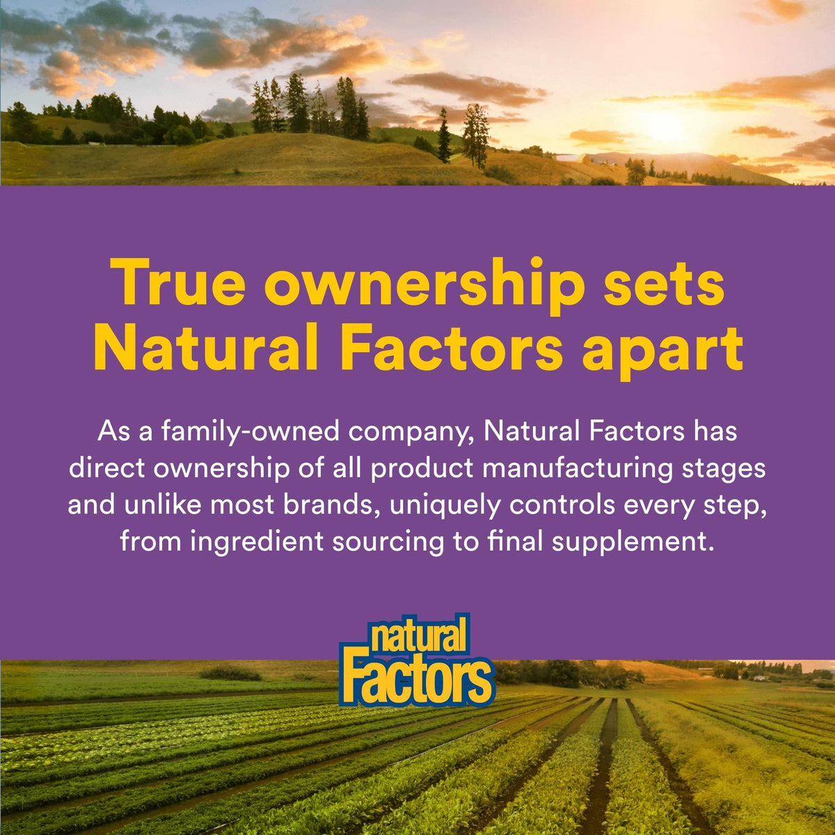 Natural Factors Pharma GABA - Dietary Supplement Supports Calm Sleep & Sleep Quality - Natural, Fast-Working Supplement Aids Focus & Brain Health - 60 Chewable Tablets (60 Servings) Natural Factors buy supplements Au