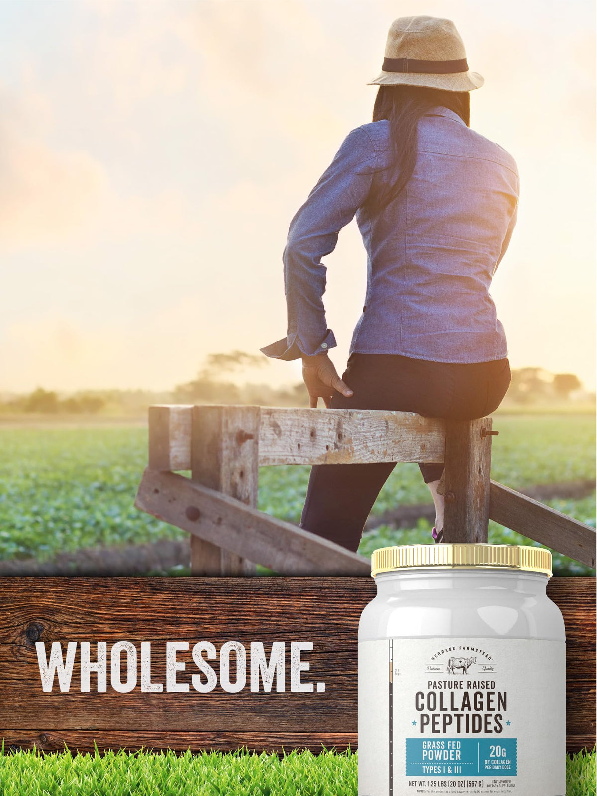 Carlyle Grass Fed Collagen Peptides Powder 20oz | Unflavored | Pasture Raised | Types I & III | 20g of Collagen Per Daily Dose | Non-GMO, Gluten Free | by Herbage Farmstead Carlyle buy supplements Au