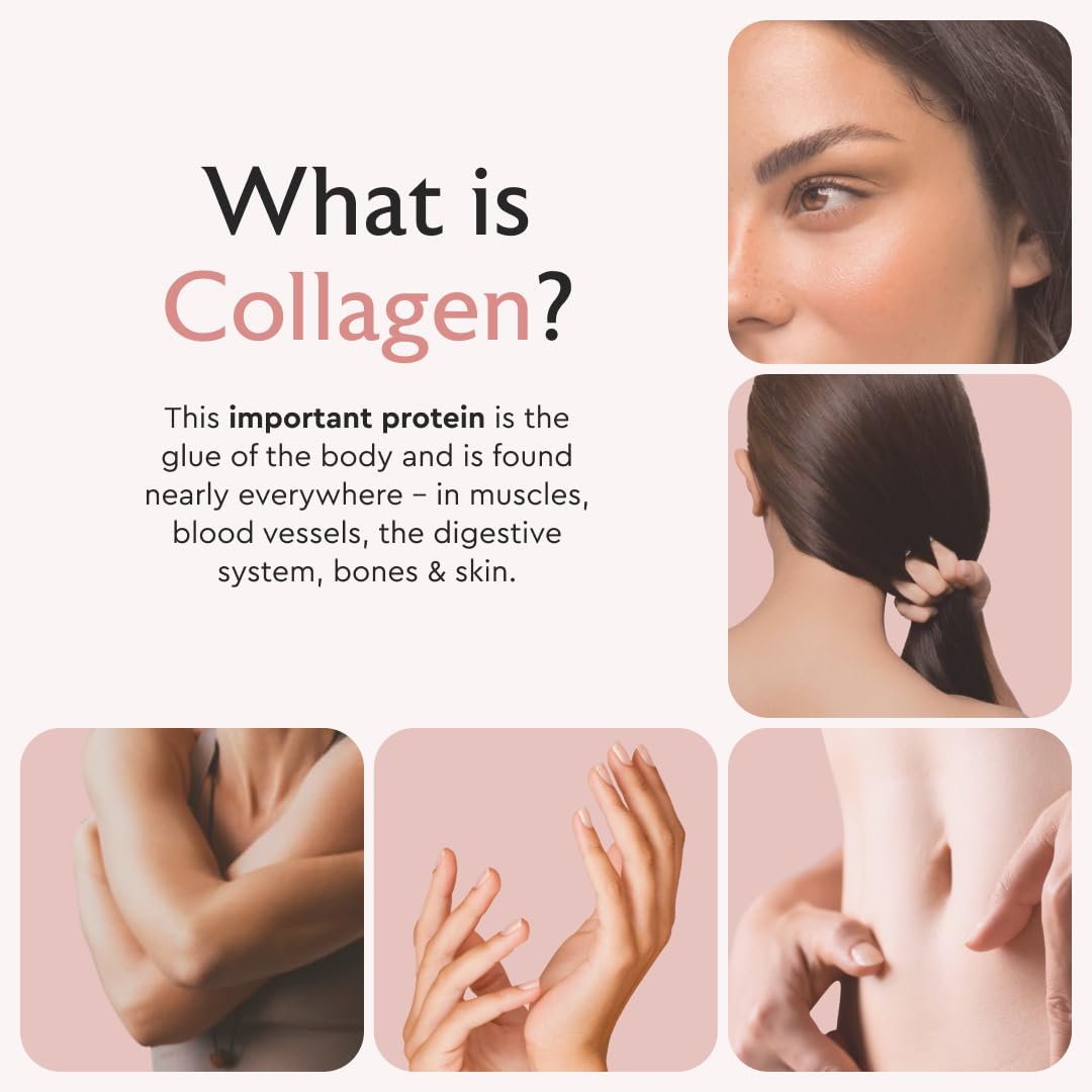 Alaya Naturals Hydrolyzed Multi Collagen Peptides Protein Capsules - Type I, II, III, V, X Grass-Fed Bovine, Chicken, Marine Collagen Supplement with MSM - PrimeBioHealth - canada supplements