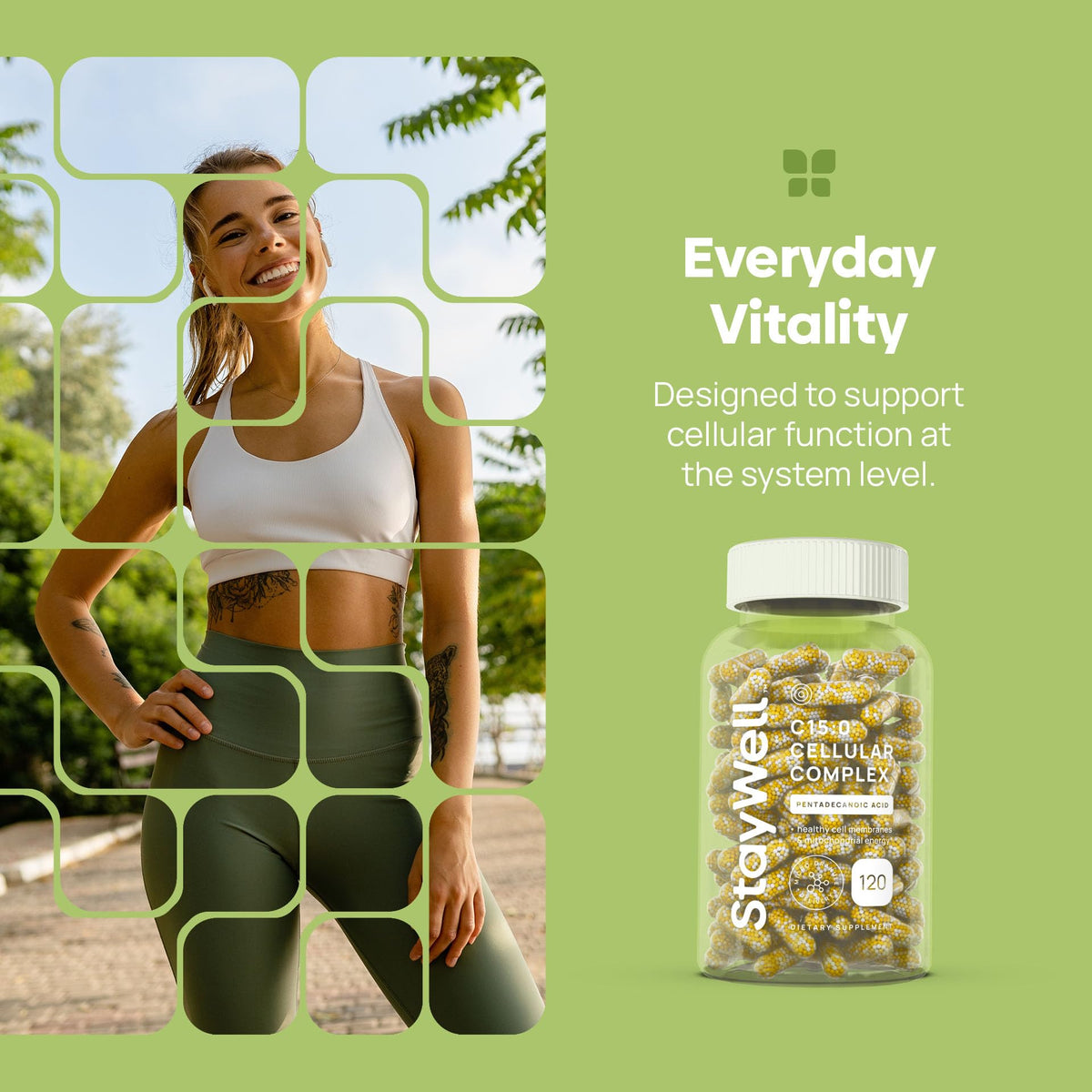 C15:0 Pentadecanoic Acid Supplement | Longevity, Cellular & Membrane Support, Micro-Granule Enhanced Absorption, Phosphatidylcholine, L-Carnitine, - PrimeBioHealth - canada supplements