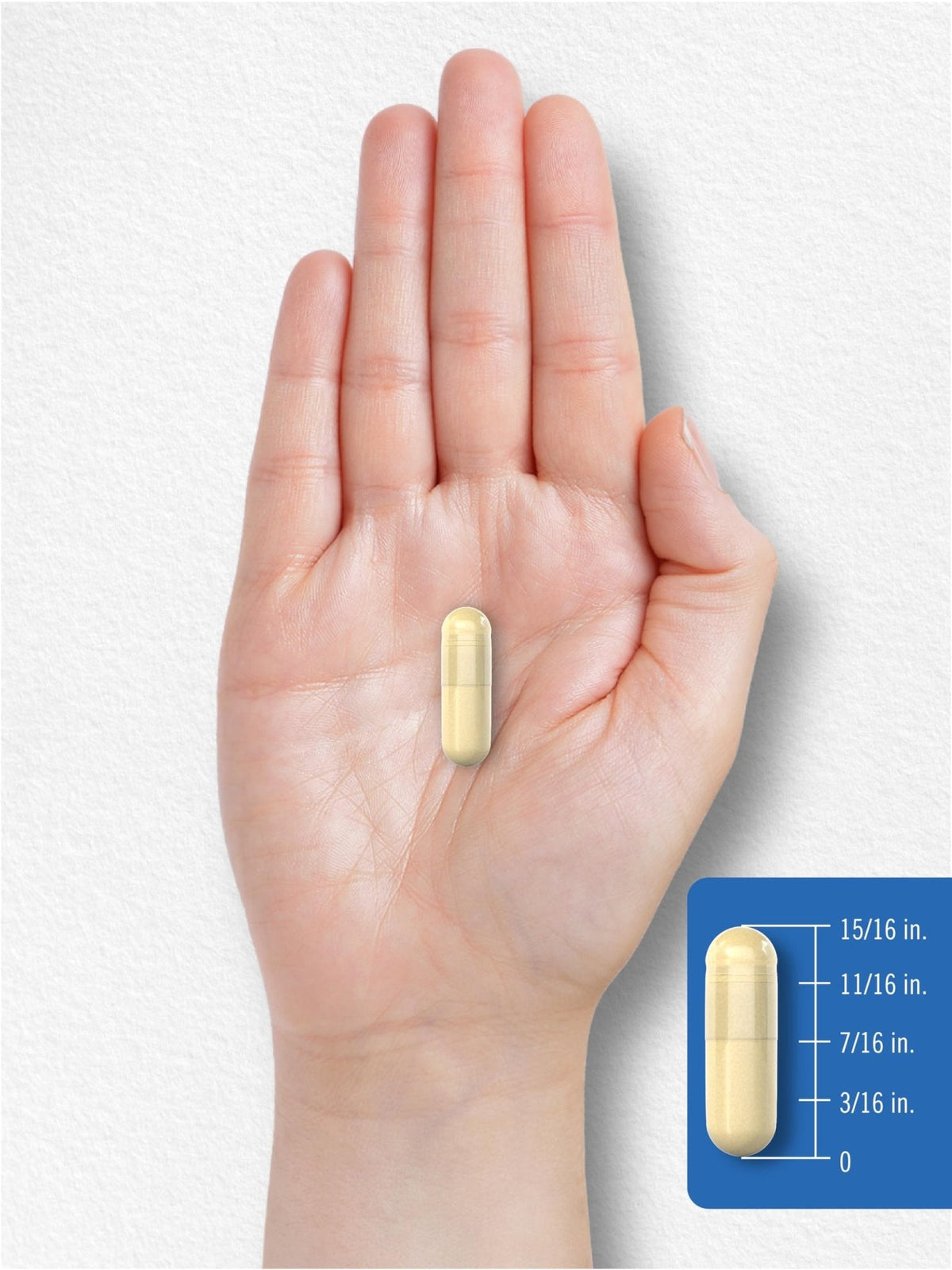 Carlyle Multi Collagen Protein Capsules 2000mg | 300 Count | Type I, II, III, V, X | Collagen Peptide Pills | Keto & Paleo Friendly - PrimeBioHealth - canada supplements