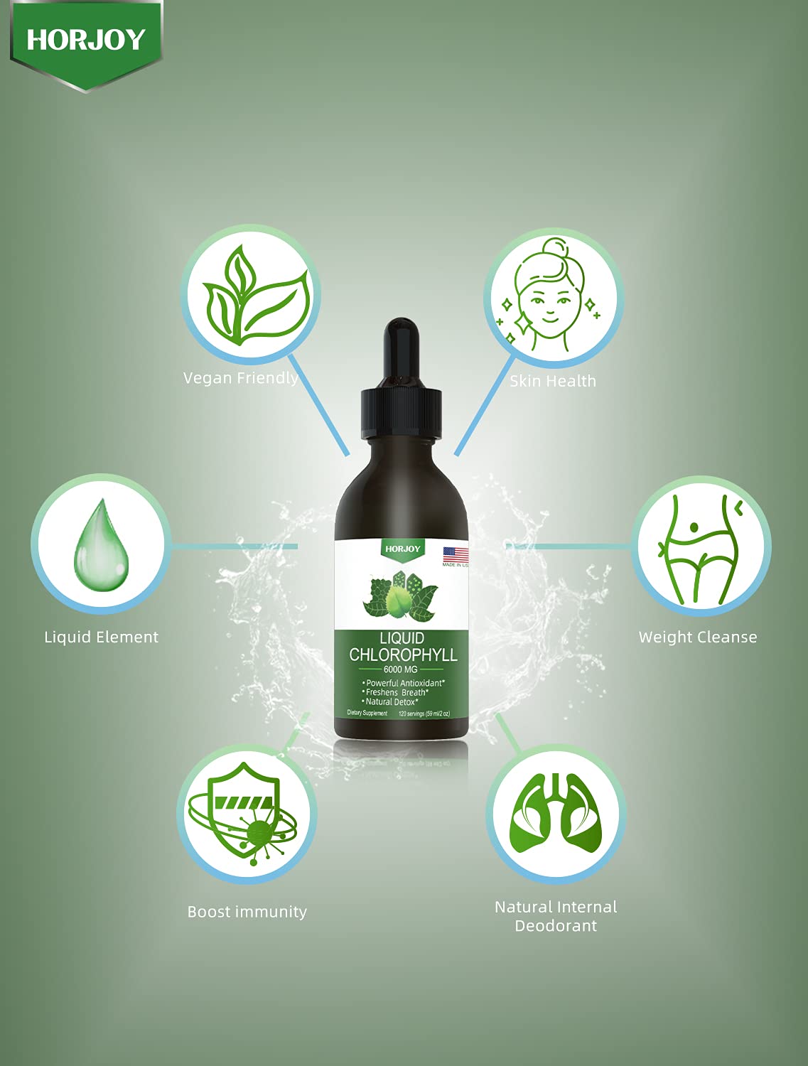 Chlorophyll Liquid Drops - 100% Natural Energy Booster and Immune Support - Internal Deodorant and Detox - Altitude Sickness Relief - Fast Absorption - PrimeBioHealth - canada supplements