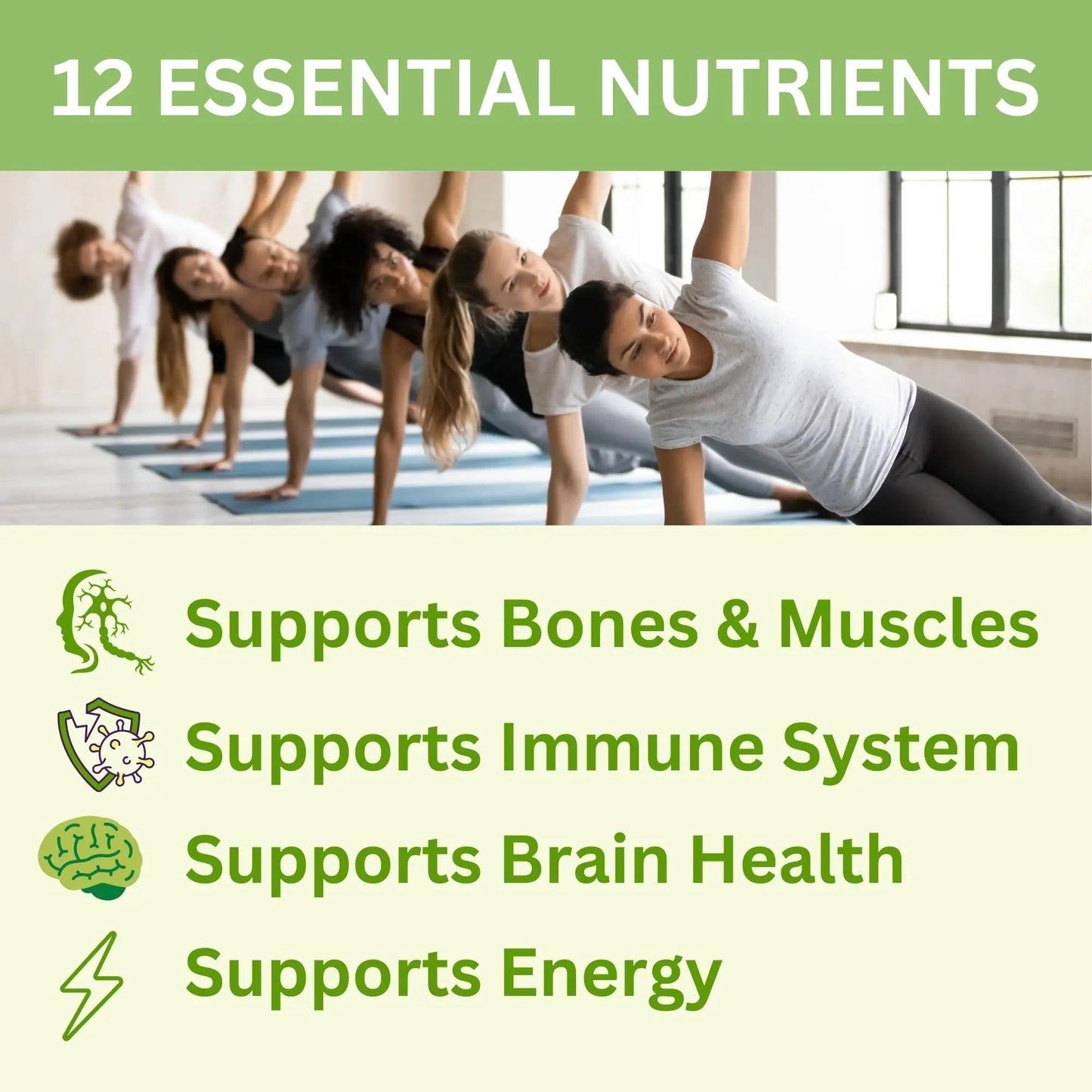 Greenfield Nutritions Halal Multivitamins for Adults | 90 Halal Vitamins for Women & Men | All Essential Gelatin Free Halal Gummy Vitamin, Mineral - PrimeBioHealth - canada supplements