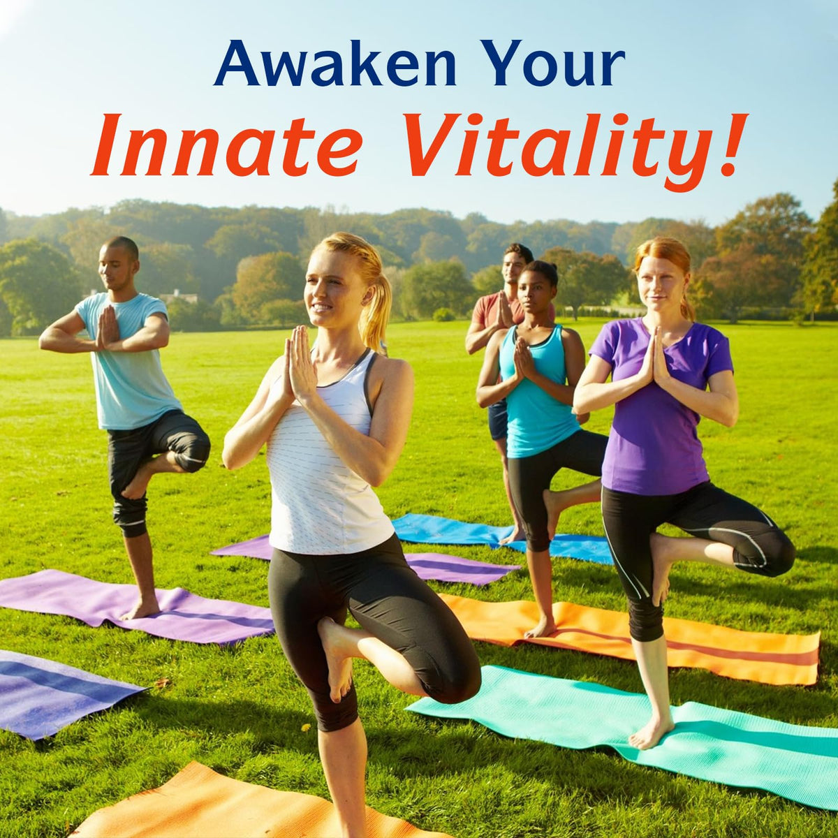 Innate Vitality Probiotics 120 Billion CFUs for Men & Women, 34 Strains with Prebiotics & Digestive Enzymes, Immune & Digestive Health - PrimeBioHealth - canada supplements
