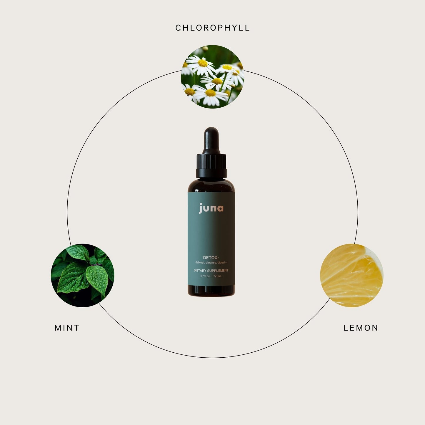 Juna Detox Chlorophyll Drops — Daily Wellness & Detox Support | Lemon Mint Spa Water Taste | Supports Cellular Health, Cleanse - PrimeBioHealth - canada supplements