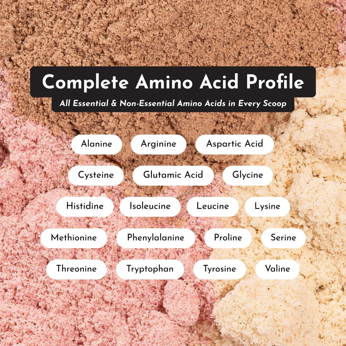 JUST INGREDIENTS Vanilla Protein Powder - Grass-Fed Whey Blend, Organic, Gluten Free, Dairy Free, Soy Free - 15 Servings, 22g Protein - PrimeBioHealth - canada supplements