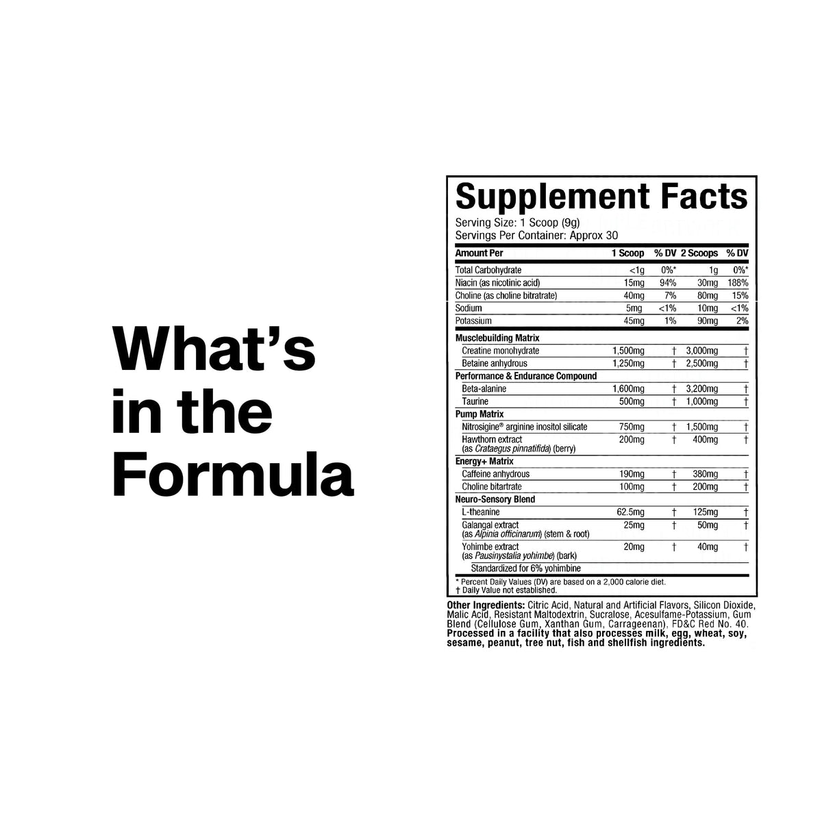 MuscleTech Pre-Workout Powder, Vapor X5 - Sports Nutrition Muscle Building Supplements for Women & Men - Intense Muscle Pump Energy Powder Drink Mix - PrimeBioHealth - canada supplements