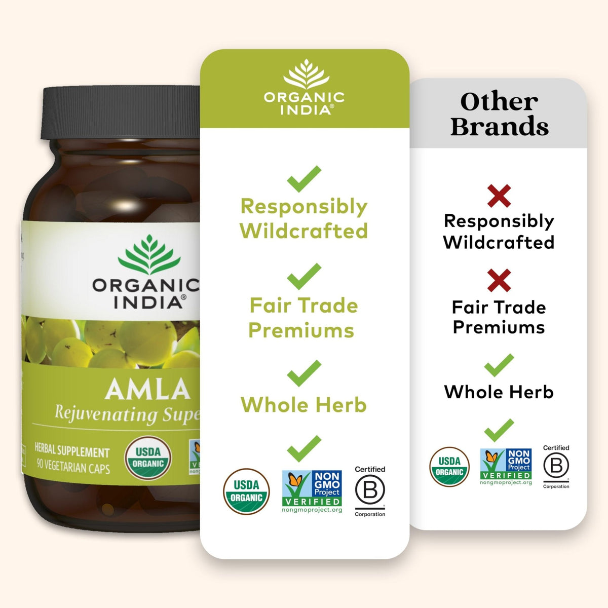 ORGANIC INDIA Amalaki Herbal Vitamin Supplement - Immune Support, Vitamin C, Vegan, Gluten-Free, Kosher, Ayurvedic, Antioxidant - PrimeBioHealth - canada supplements