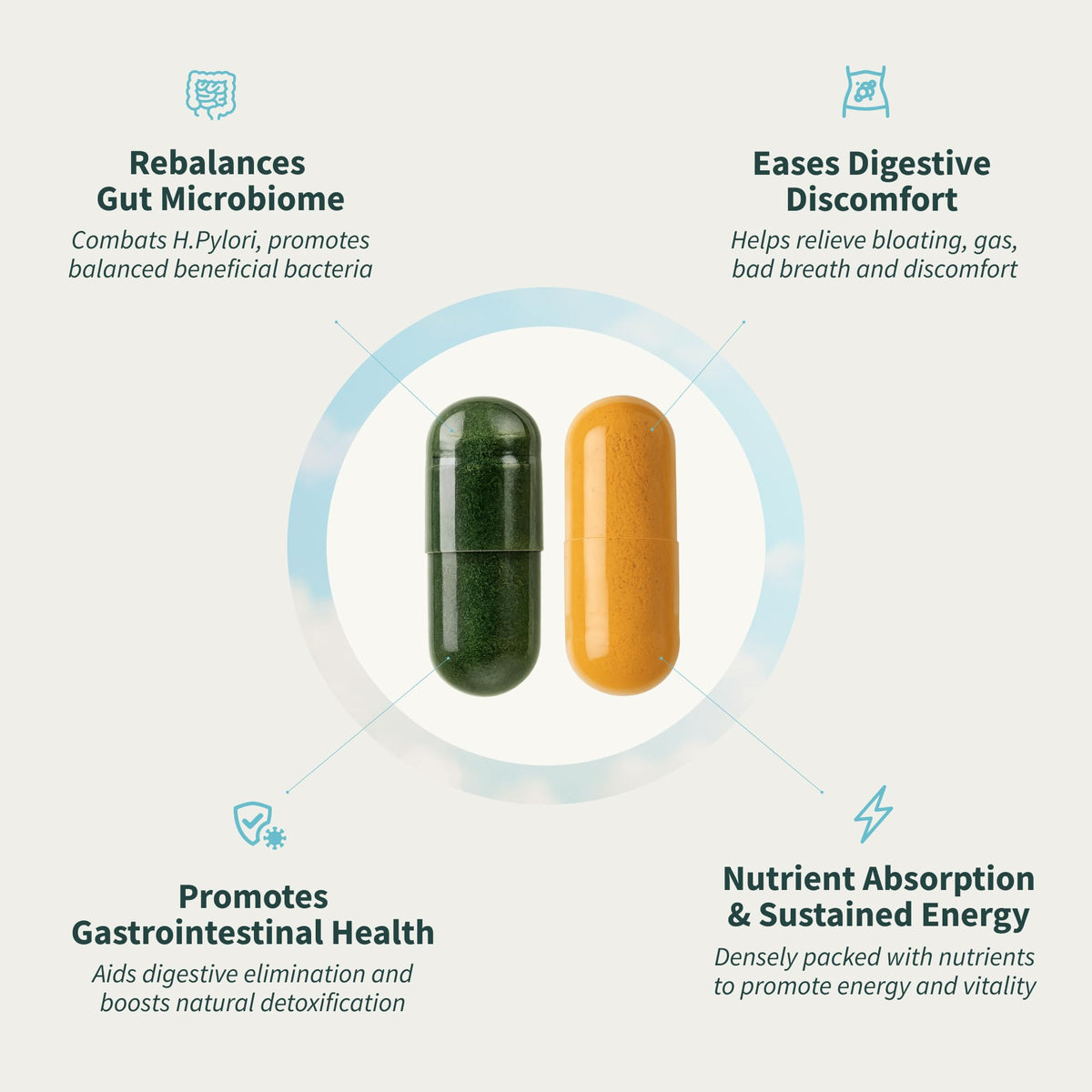 Snap Supplements Gut Health Lipase Supplement & Organic Spirulina Chlorella Bundle–Probiotic + Greens–Supports Digestion, Detox, Energy & Immune Health, 50 - PrimeBioHealth - canada supplements