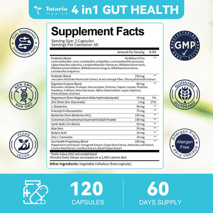 14-in-1 Gut Health with Probiotics, Prebiotics, Postbiotics & Digestive Enzymes for Women & Men, 60 Billion CFU Probiotics for Digestion, Strong Immunity, - PrimeBioHealth - canada supplements