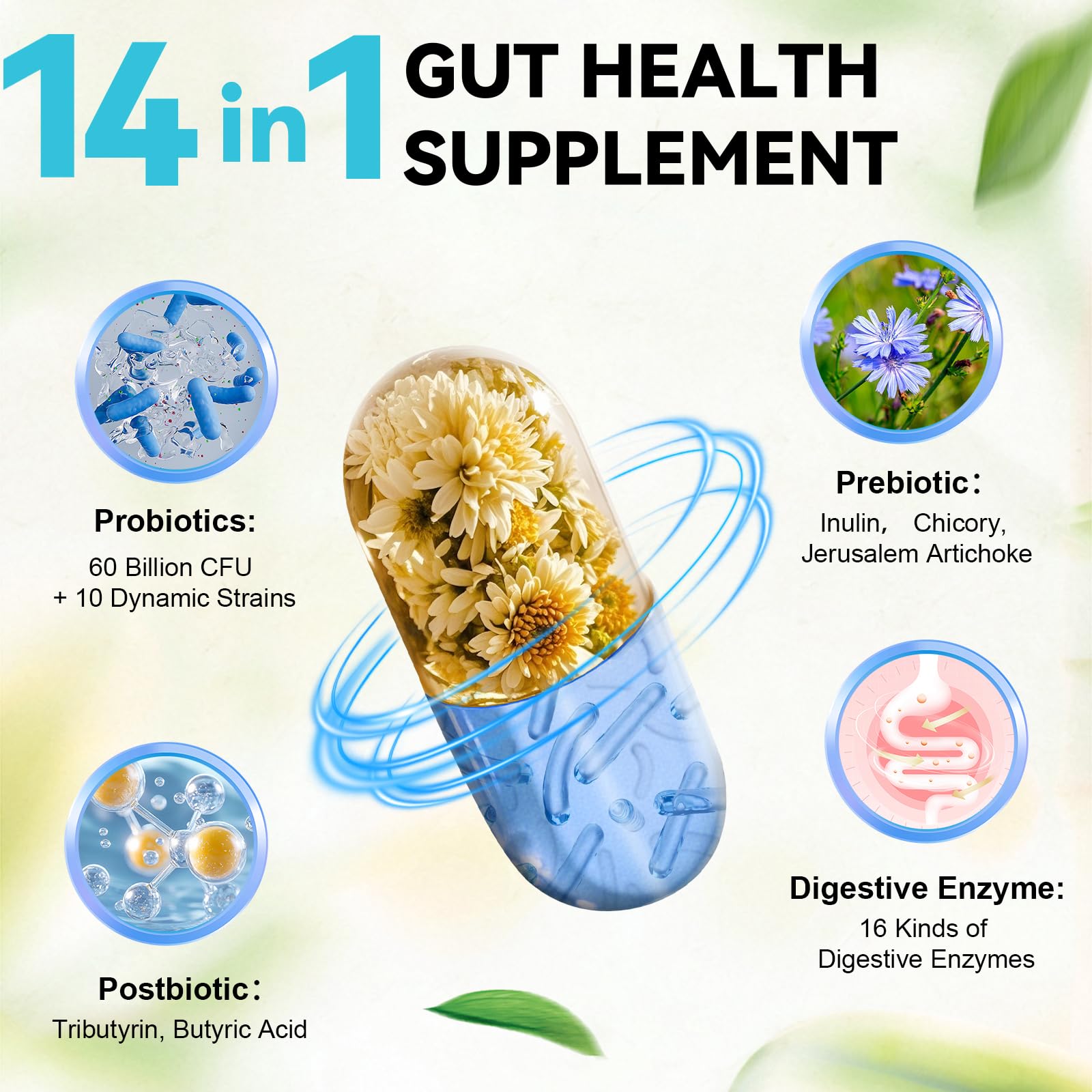 14-in-1 Gut Health with Probiotics, Prebiotics, Postbiotics & Digestive Enzymes for Women & Men, 60 Billion CFU Probiotics for Digestion, Strong Immunity, - PrimeBioHealth - canada supplements