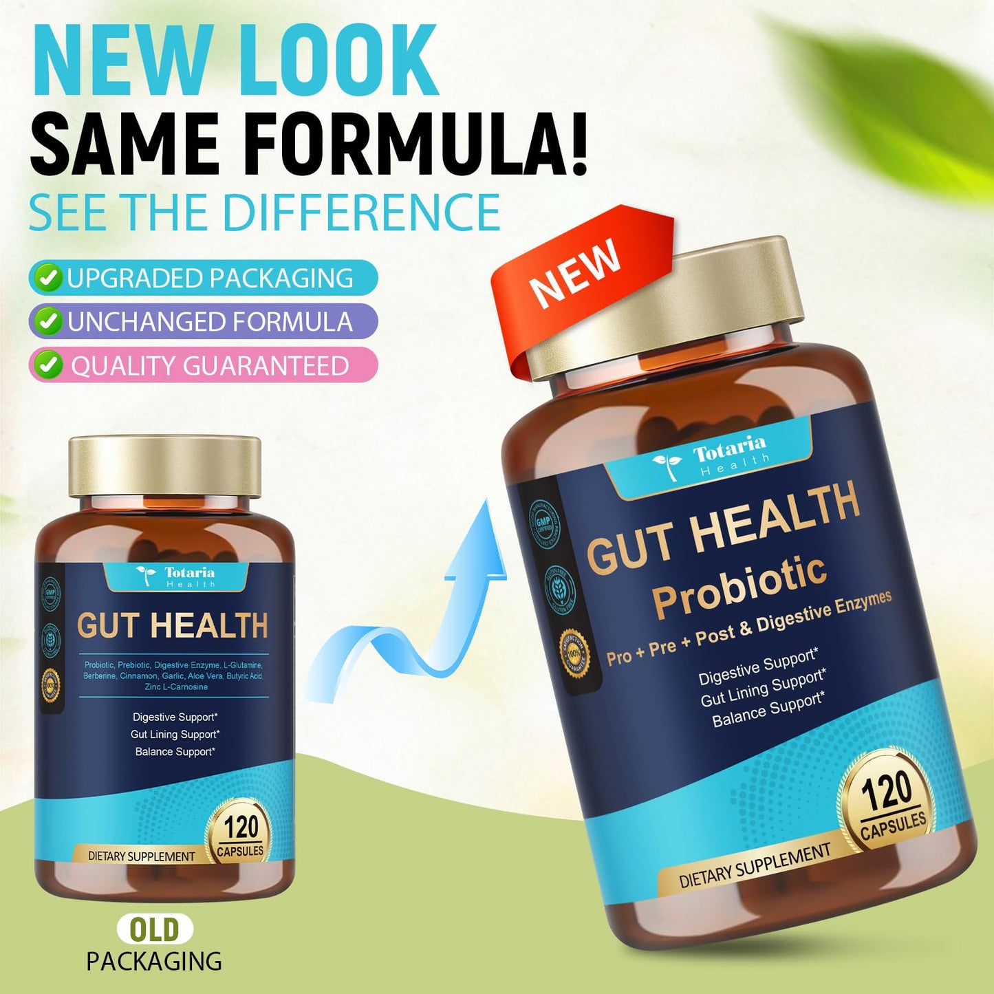 14-in-1 Gut Health with Probiotics, Prebiotics, Postbiotics & Digestive Enzymes for Women & Men, 60 Billion CFU Probiotics for Digestion, Strong Immunity, - PrimeBioHealth - canada supplements