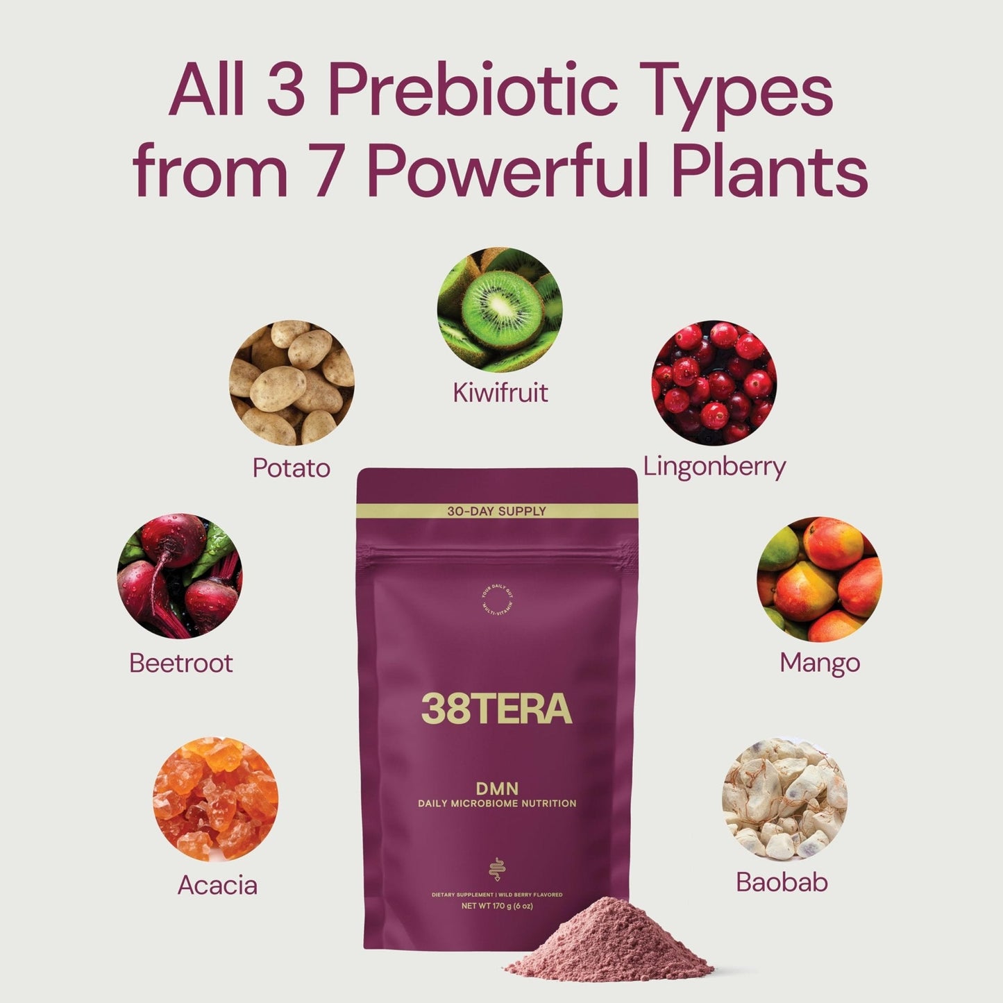 38TERA DMN (Daily Microbiome Nutrition), 6 Oz, Plant-Based Fiber Powder with 3 Different Prebiotics, Helps Digestive & Gut Health, Low FODMAP Supplement, Vegan, Wild Berry Flavor, 30 Servings - PrimeBioHealth - canada supplements