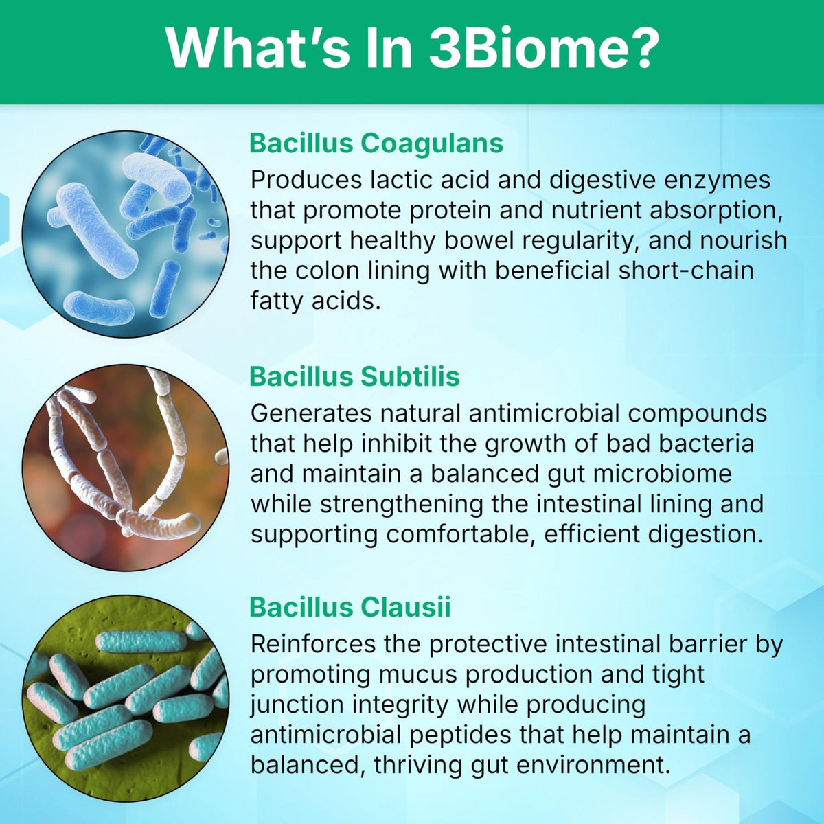 3Biome - Natural Probiotic Supplement - Non-GMO, Vegan, Gluten-Free - PrimeBioHealth - canada supplements