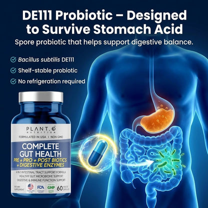 4-in-1 Gut Health Support – Prebiotics + Probiotics + Postbiotics + Digestive Enzymes – DE111 Spore Probiotic for Digestive Support & Bloating - PrimeBioHealth - canada supplements