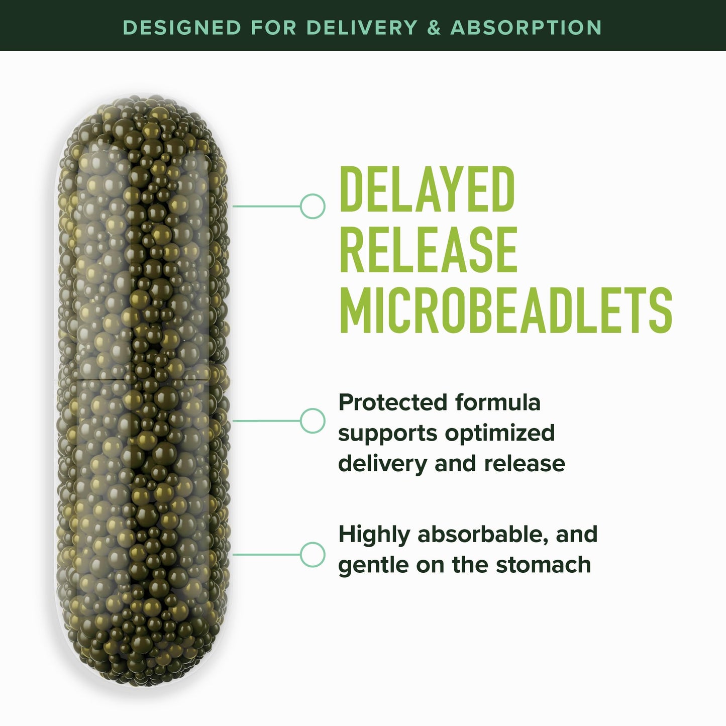 50MG Sulforaphane Supplement from Broccoli Sprouts | NRF2 Activation, Cellular Health & Immune Support | Glucoraphanin, Myrosinase & Antioxidants | Third-Party Tested - PrimeBioHealth - canada supplements