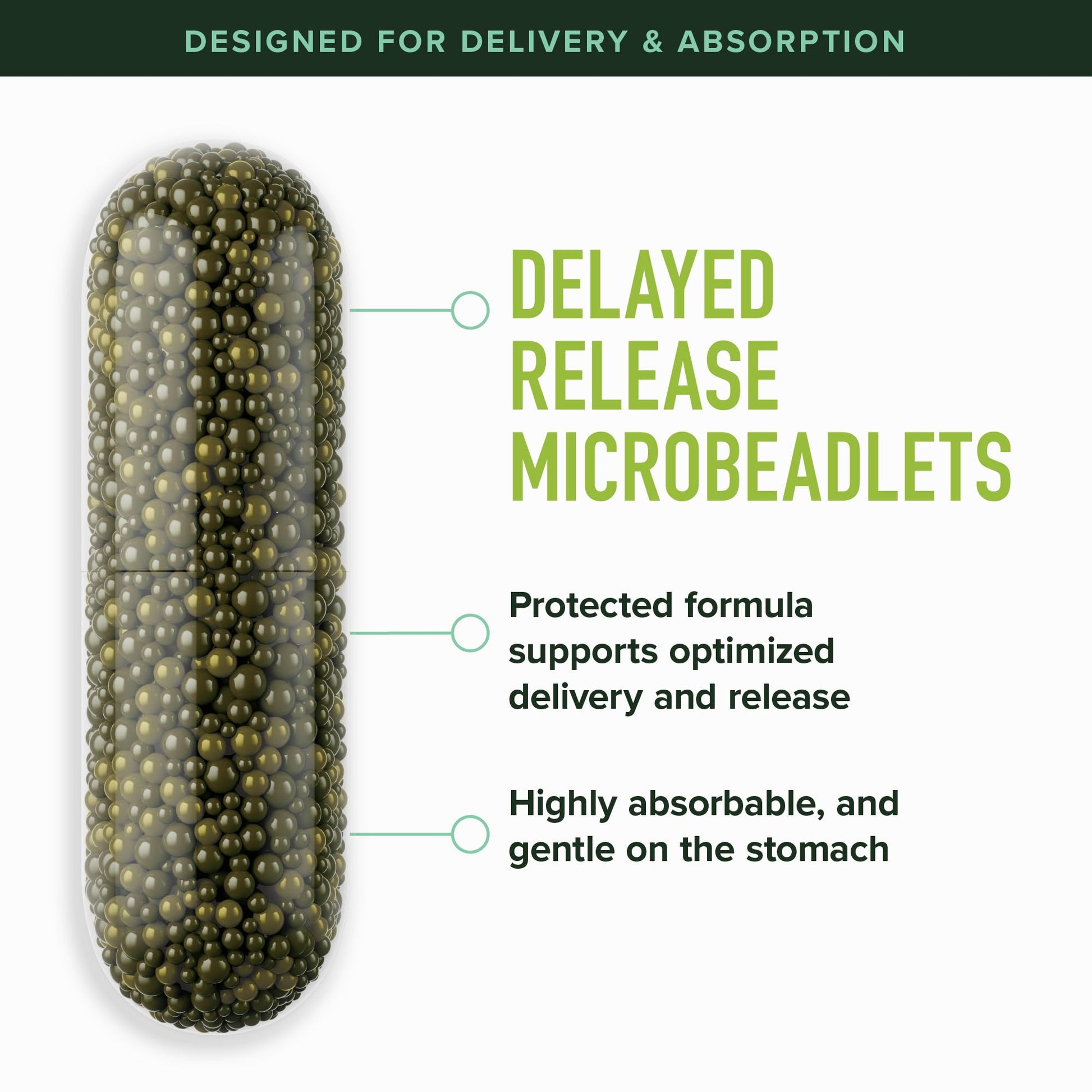 50MG Sulforaphane Supplement from Broccoli Sprouts | NRF2 Activation, Cellular Health & Immune Support | Glucoraphanin, Myrosinase & Antioxidants | Third-Party Tested - PrimeBioHealth - canada supplements