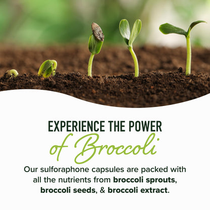 50MG Sulforaphane Supplement from Broccoli Sprouts | NRF2 Activation, Cellular Health & Immune Support | Glucoraphanin, Myrosinase & Antioxidants | Third-Party Tested - PrimeBioHealth - canada supplements