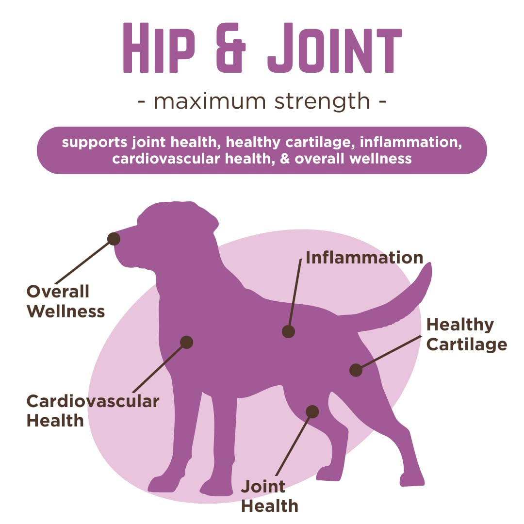 Dr. Joseph's VetPro Complete Dog Hip & Joint Supplement for Arthritis Pain Relief – High-Strength Glucosamine & Chondroitin Chews for Senior Dogs – Vet Formulated Daily Treats, Chicken Flavor, 60 Ct VetPro CompleteBuy Supplements Australia