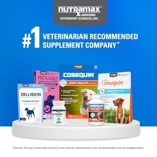 Nutramax Cosequin for Dogs Joint Health Supplement, Contains Glucosamine for Dogs, Chondroitin, MSM and Omega-3s, Supports Joint and Skin and Coat Health, Soft Chews, 60 Count Nutramax LaboratoriesBuy Supplements Australia