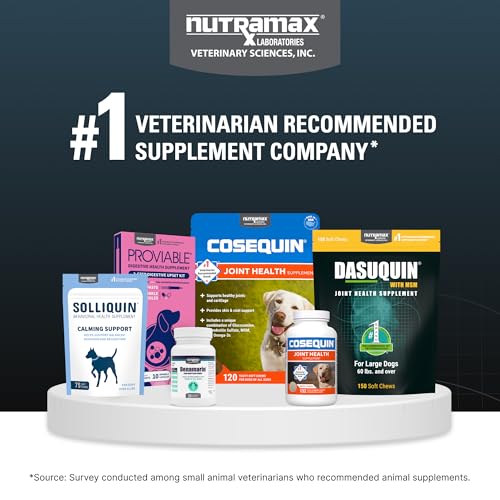 Nutramax Dasuquin for Large Dogs, Joint Health Supplement, Contains Glucosamine for Dogs, Plus Chondroitin, ASU, MSM and More, Supports Healthy Joints, Chewable Tablets, 150 Count Nutramax LaboratoriesBuy Supplements Australia
