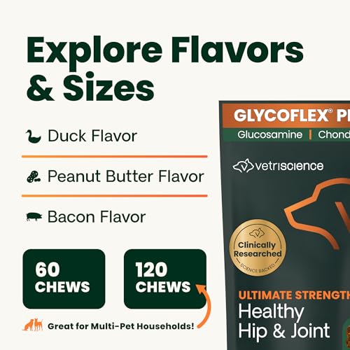 VetriScience Ultimate Strength Hip & Joint Supplement for Dogs, GlycoFlex Plus – MSM, Chondroitin & Green-Lipped Mussel Chews for Mobility, Flexibility, Comfort & Support, Peanut Butter Flavor 120 Cnt VETRISCIENCEBuy Supplements Australia