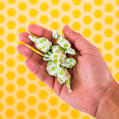 tummy drops No Sugar Crushed Peppermint Flavor, Gluten Free & Vegan, 33 Individually Wrapped Pure Peppermint Oil Lozenges Made with Organic Monkfruit