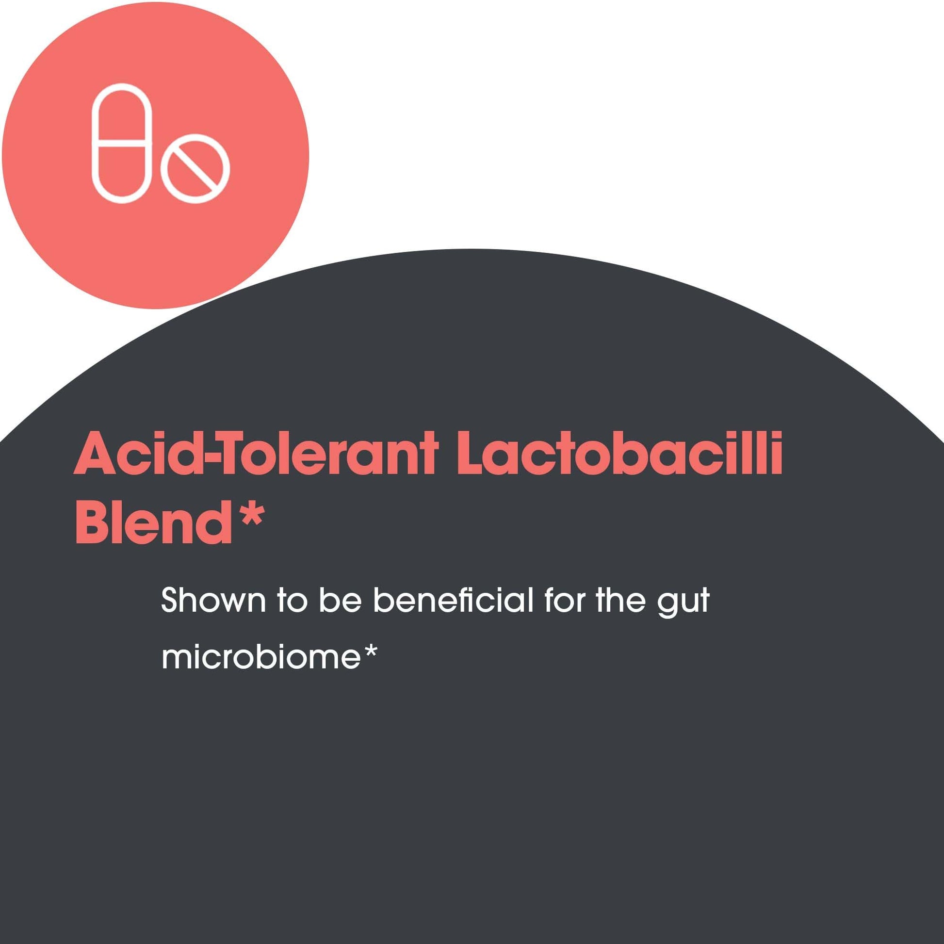 Allergy Research Group Lactobacillus Supplement - Probiotics for Men & Women, Digestive Health, Gut Health, Vegetarian Capsules - 100 Count Allergy Research GroupBuy Supplements Australia