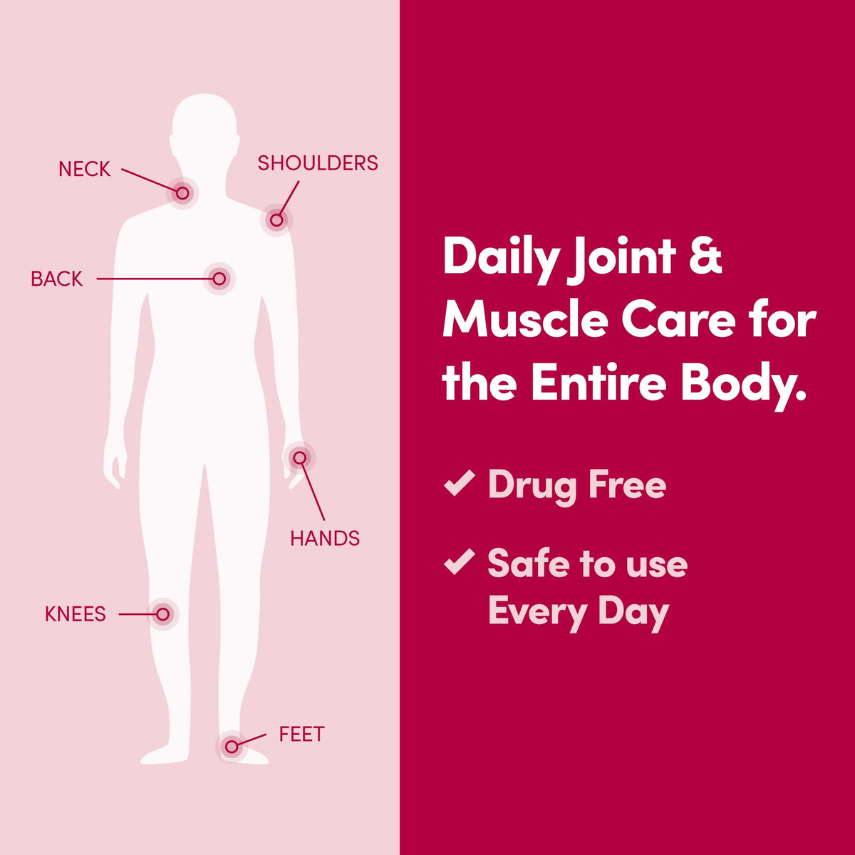 Penetrex Daily Joint & Muscle Care Cream – Soothing Botanical Formula with Arnica, Vitamin B6 & MSM – Lightweight Fast-Absorbing Cream for Everyday Movement - Non-Greasy - Light Scent- 2 oz PenetrexBuy Supplements Australia