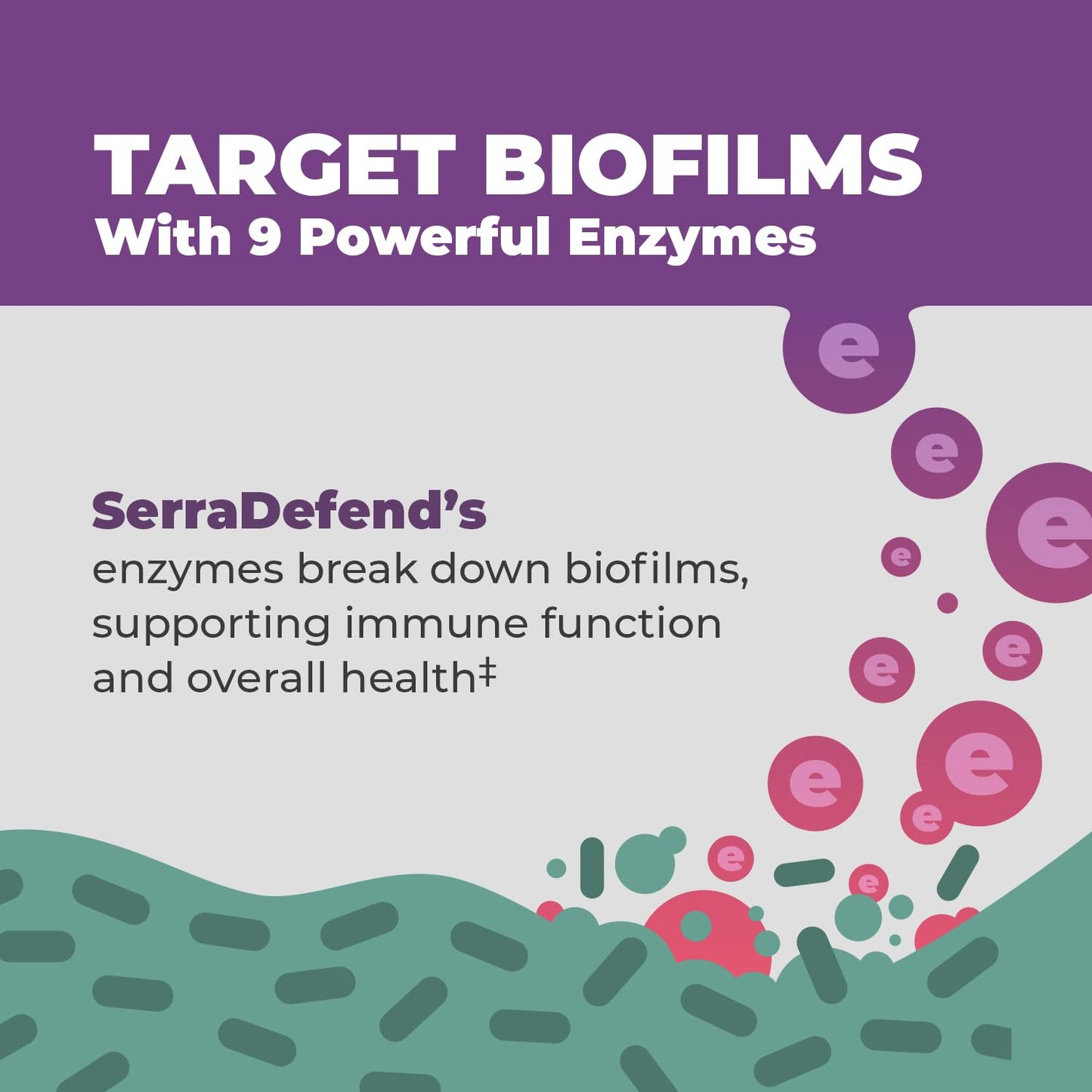 Balance ONE Biofilm Disruptor – Proteolytic Enzymes & Defense Supplement with Serrapeptase & Nattokinase – Systemic & Digestive Support – 60 Capsules, 2 Month Supply – for Women & Men – SerraDefend Balance ONE buy supplements Au