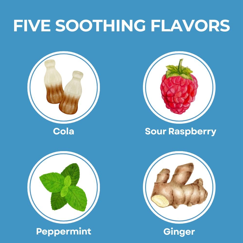 Three Lollies Queasy Drops- Supports Motion Sickness Relief. Also Pregnancy & Morning Sickness Relief. Stomach Settle Drops Assorted 48 Count