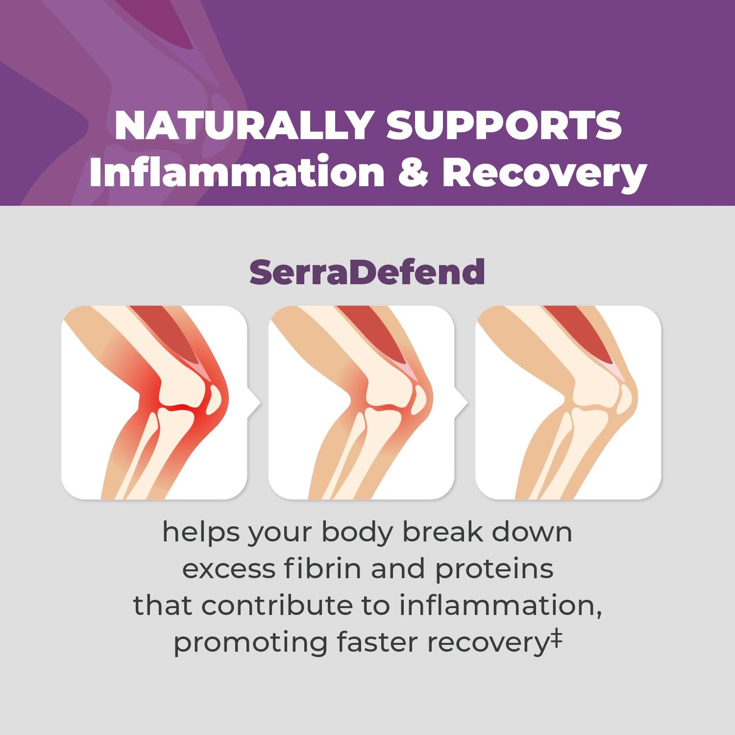 Balance ONE Biofilm Disruptor – Proteolytic Enzymes & Defense Supplement with Serrapeptase & Nattokinase – Systemic & Digestive Support – 60 Capsules, 2 Month Supply – for Women & Men – SerraDefend Balance ONE buy supplements Au