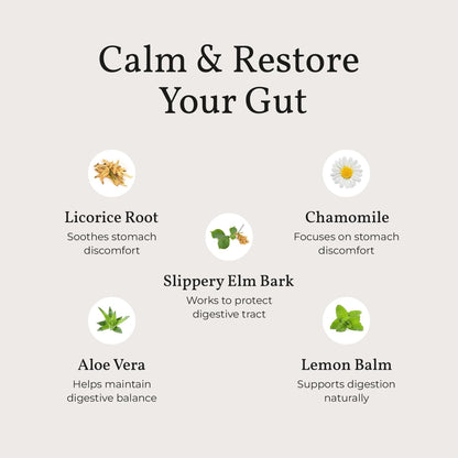 Terra Health Essentials Acid Relief - Plant Based Digestive Support Supplement for Comfortable Gut Function - Lemon Balm, Slippery Elm,