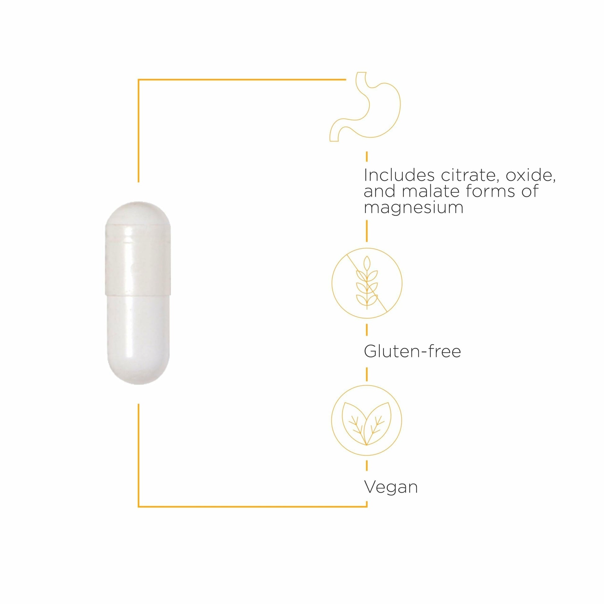 Integrative Therapeutics Tri-Magnesium - Supports Cellular Energy & Energy Metabolism* - Magnesium Supplement for Heart & Nerve Health Support* - Third-Party Tested - 90 Capsules (90 Servings) Integrative Therapeutics buy supplements Au
