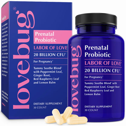 LOVEBUG Prenatal Probiotic | Helps with Morning Sickness, Nausea, Heartburn & Digestion | Helps Baby Microbiome | Multi Strain 20 Billion CFU | 30 Capsules LOVEBUG buy supplements Au