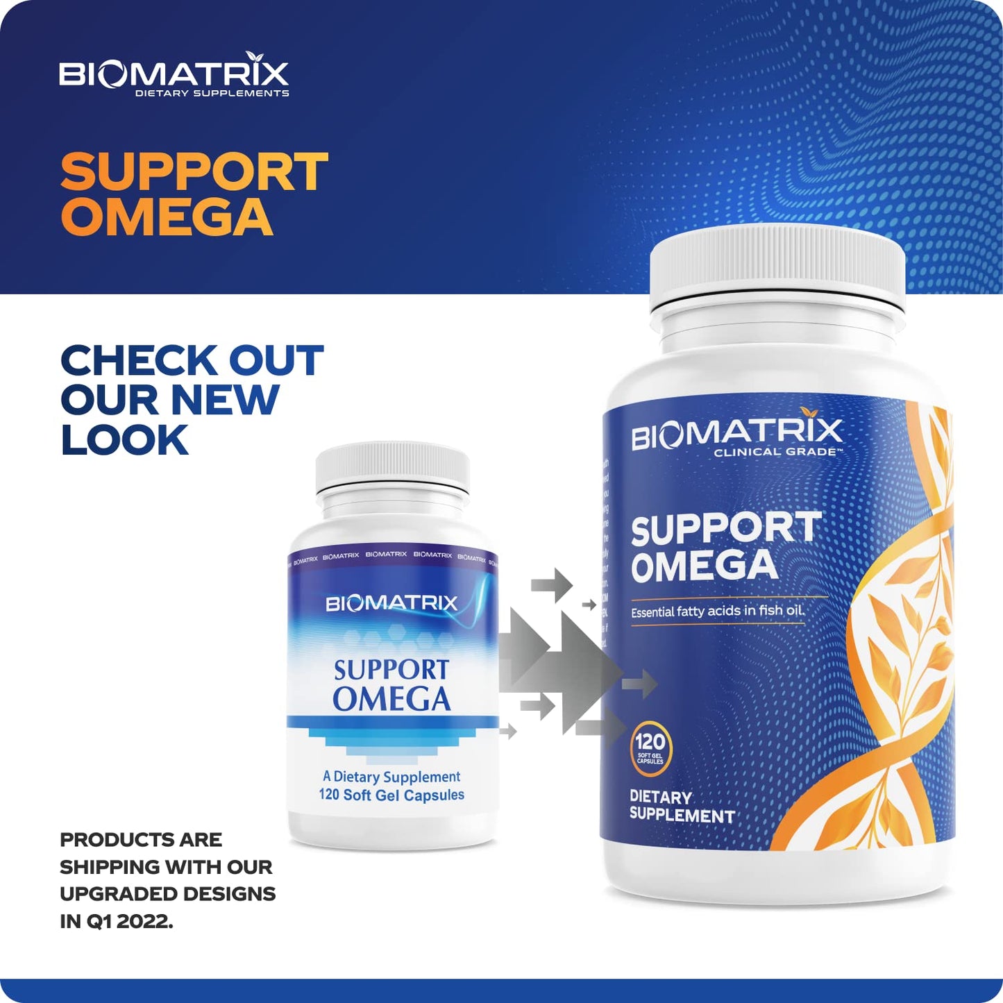 Support Omega EPA DHA Omega 3 Fish Oil Supplement - Cardiovascular, Musculoskeletal Support (120 Gel Capsules) BioMatrix buy supplements Au