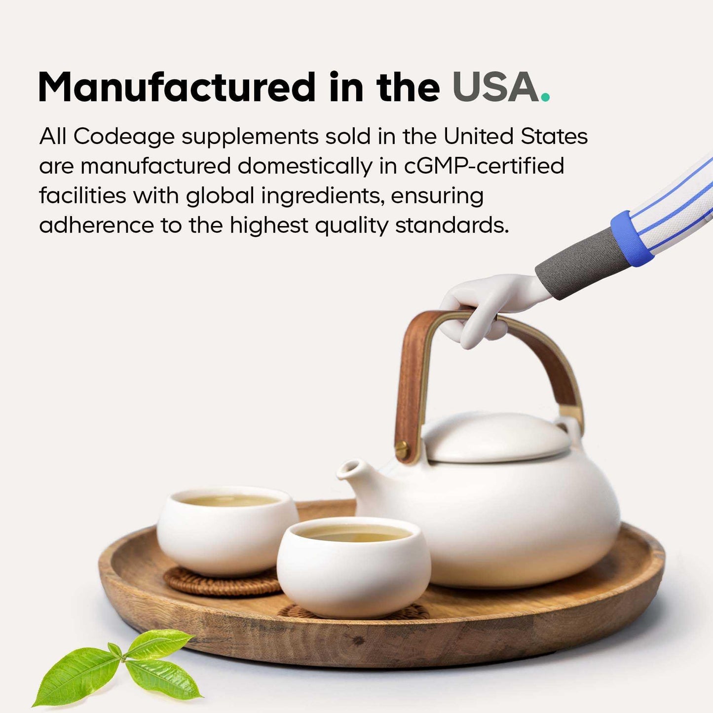 Codeage Akkermansia Synbiotic Supplement - 100 Million AFU Akkermansia Probiotic & Chicory Inulin Prebiotic - Chicory Root - 1 Capsule Per Serving - Non-GMO, Gluten-Free - 30 Capsules CodeageBuy Supplements Australia