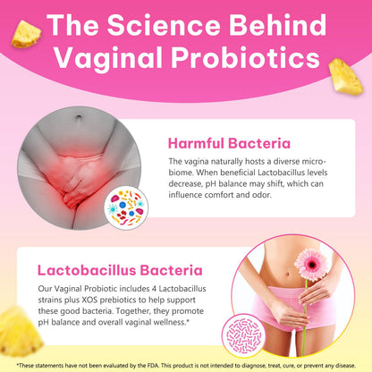 KITNOBLIS Feminine Probiotic Gummies with Slippery Elm- Pineapple Gummies for Women pH Balance, Gut Health & Immune Supports | with Prebiotics & Lactobacillus Blend (60 Gummies) KITNOBLISBuy Supplements Australia