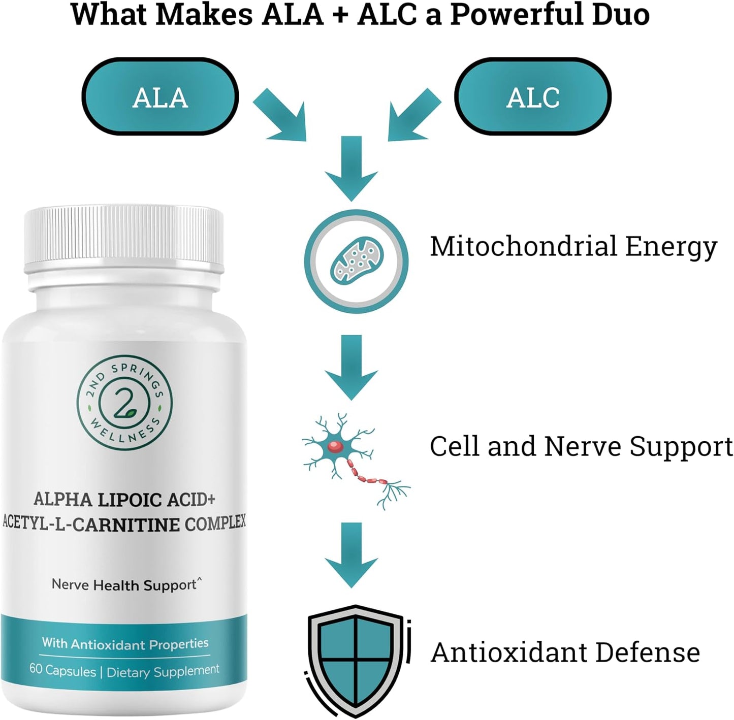 Magnesium Bisglycinate + ALA & ALC Complex Bundle | Muscle Support, Nerve Health, Energy, Metabolism, Cognitive Function & Daily Wellness by 2nd Springs