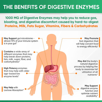Wholesome Wellness Digestive Enzymes 1000MG Plus Prebiotics & Probiotics Supplement, 180 Capsules, Organic Plant-Based Vegan Formula for Digestion & Lactose with Amylase & Bromelain,3-6 Months Supply