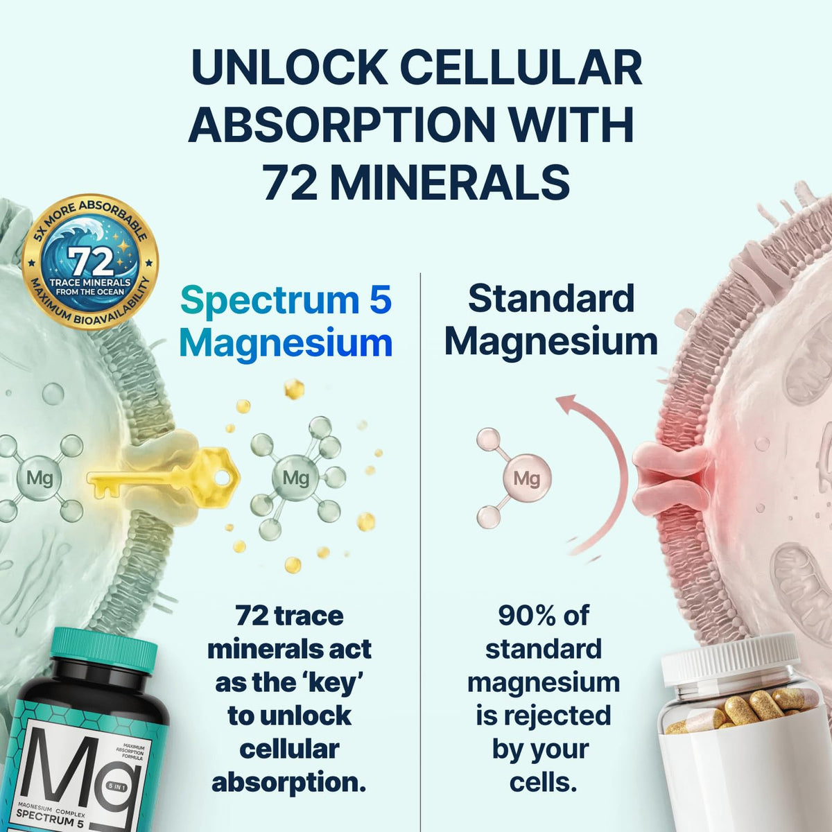 Spectrum 5 Magnesium | 5-in-1 Complex + 72 Trace Minerals for Enhanced Absorption | Irish Sea Sourced | 500mg per Serving