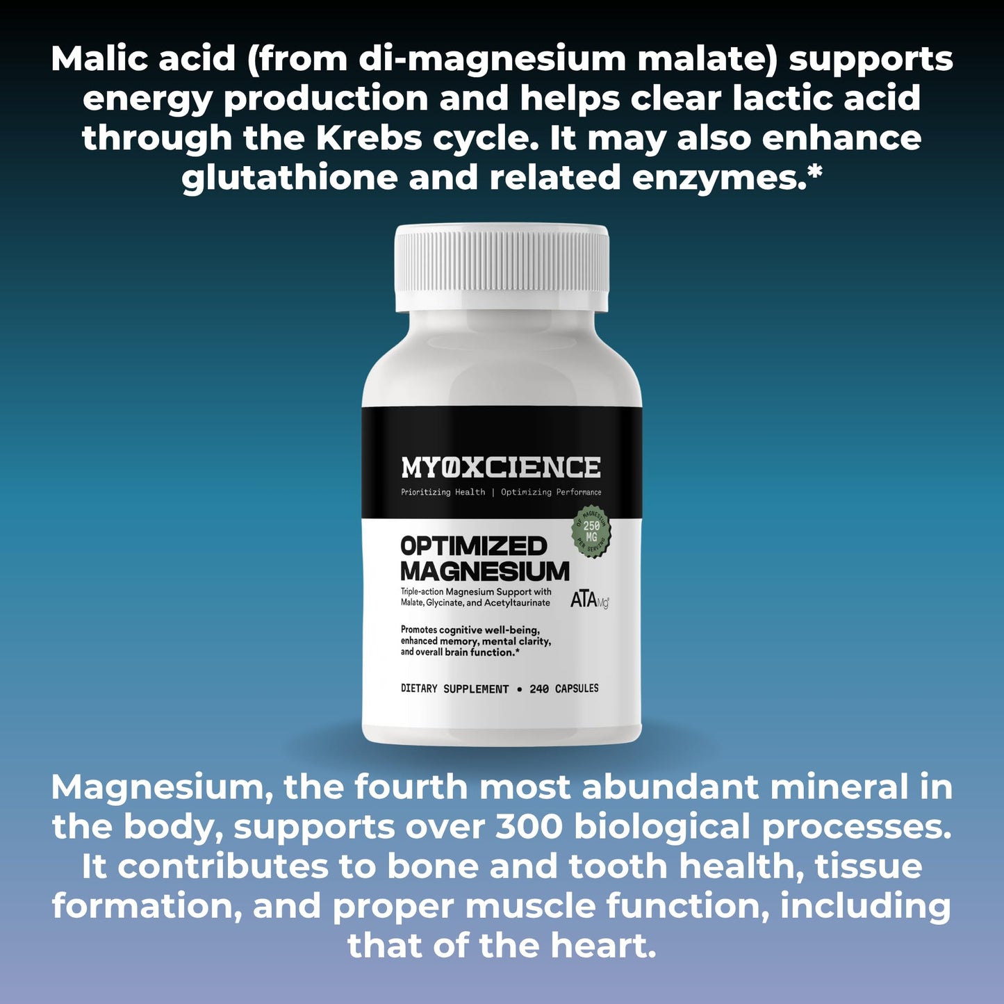 MYOXCIENCE Optimized Magnesium Glycinate + Magnesium Taurate (as ATAmag®) for High Brain Bioavailability to Support Stress Relief and Sleep | 80 Servings MYOXCIENCE buy supplements Au