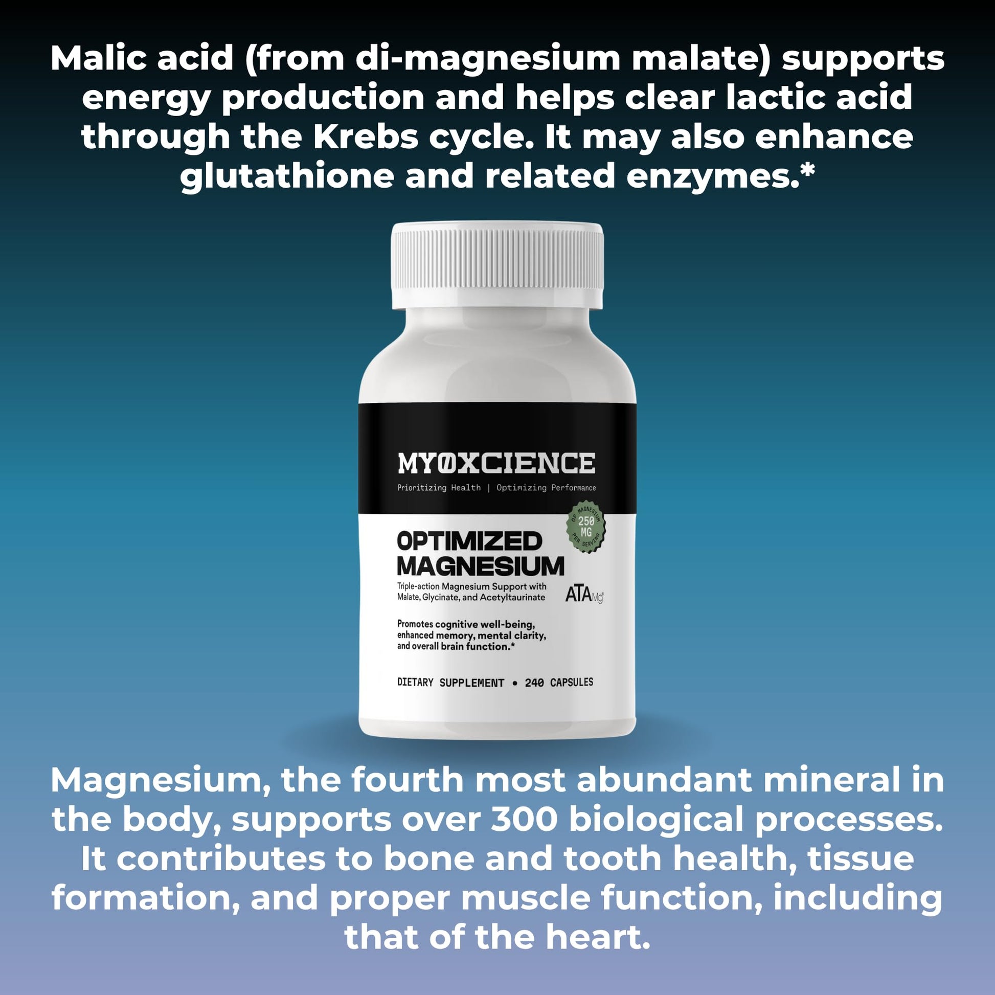 MYOXCIENCE Optimized Magnesium Glycinate + Magnesium Taurate (as ATAmag®) for High Brain Bioavailability to Support Stress Relief and Sleep | 80 Servings MYOXCIENCE buy supplements Au