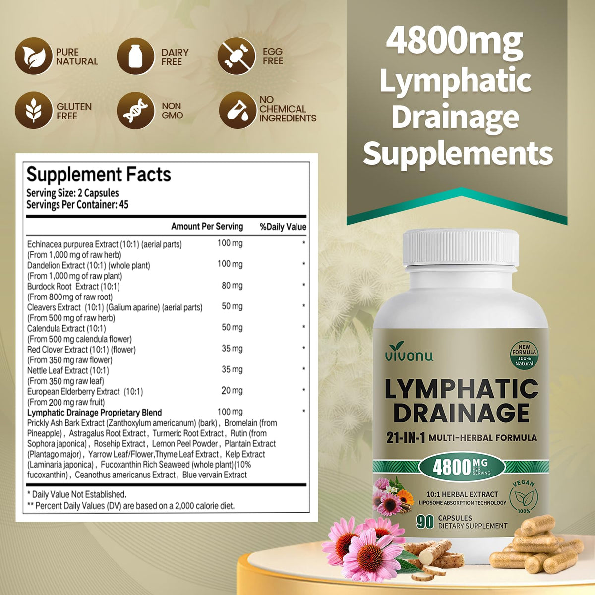 21-in-1 Liposome Lymphatic Drainage Supplements, 45 Day Supply, 4800mg Immune & Lymph System Support, 10:1 Concentrated Technology, Echinacea, Dandelion, Burdock, Bromelain, Calendula, 90 Capsules VivoNu buy supplements Au