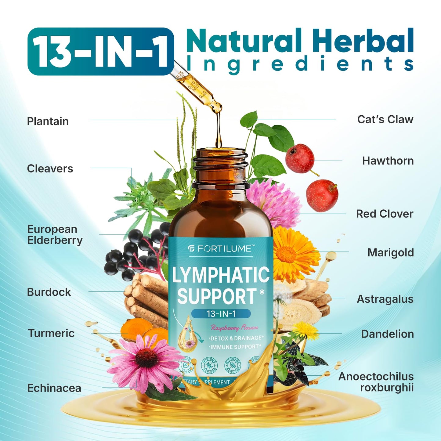 FORTILUME Liposomal Lymphatic Drainage Drops, 13 in 1 Lymphatic Support Drops with Elderberry & Echinacea, Immune & Lymph System Support, Raspberry Flavor, 2 Fl.Oz (30 Servings) FORTILUME buy supplements Au
