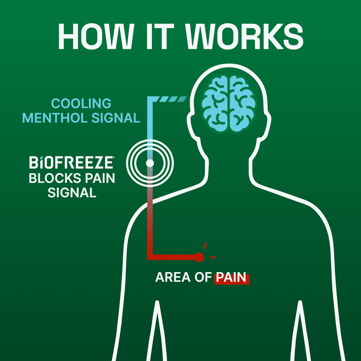 Biofreeze XL Pain Relief Patches, Menthol Pain Patches for Lower Back, Neck, Knee, & Shoulder, Comfortable & Flexible Fabric Stays in Place, 4 ct BiofreezeBuy Supplements Australia
