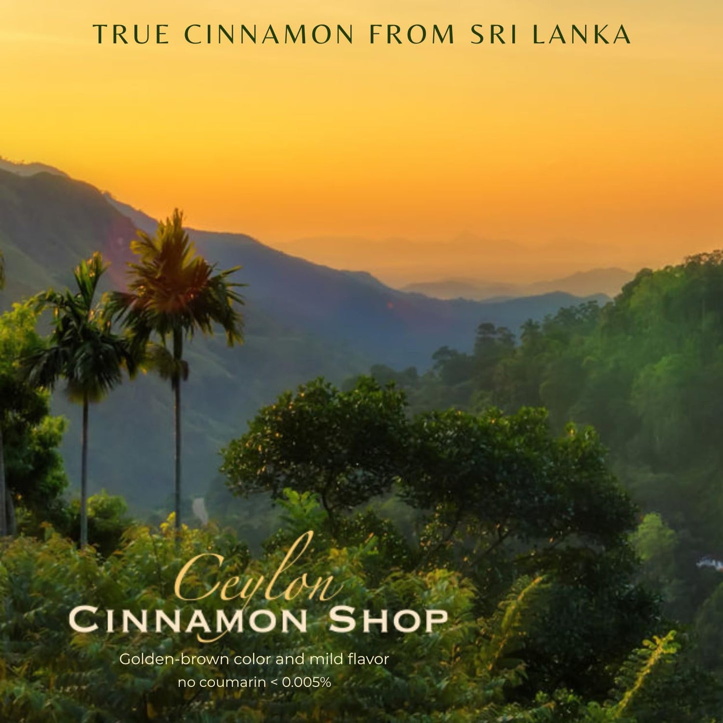 Organic Ceylon Cinnamon Powder, USDA Certified Spice - 8 ounces | Premium Grade True Cinnamon, Sri Lankan Variety, Cinnamomum Verum, All-Natural, Non-GMO, Gluten Free, Made in the USA (GMP)