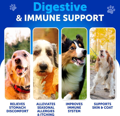 Dog Allergy Relief Chews + Probiotics Bundle - Omega 3 for Skin & Coat, Anti-Itch, Hot Spots Treatment, Immune Support - Probiotics & Prebiotics for Gut Health, Yeast Balance