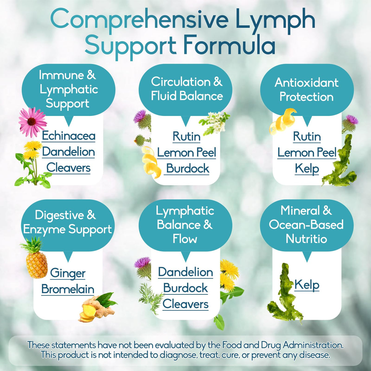 GAVYNETH Lymphatic Drainage Supplements for Lymph System Support – Echinacea, Dandelion & Burdock for Immune & Circulation Support, Vegan Herbal Formula for Women & Men, 60 Capsules GAVYNETH buy supplements Au